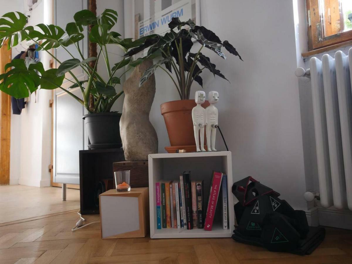 Good Mornings Apartment Kaloşvar Dış mekan fotoğraf